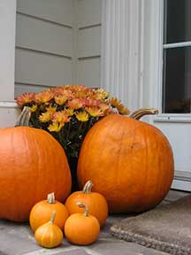 Pumpkins on the front porch
